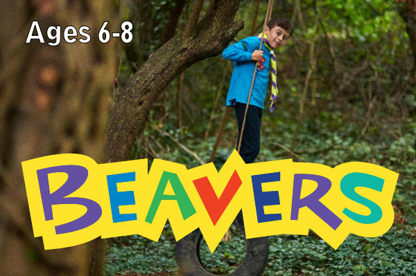 Beavers Unity North Richmond Scout Group